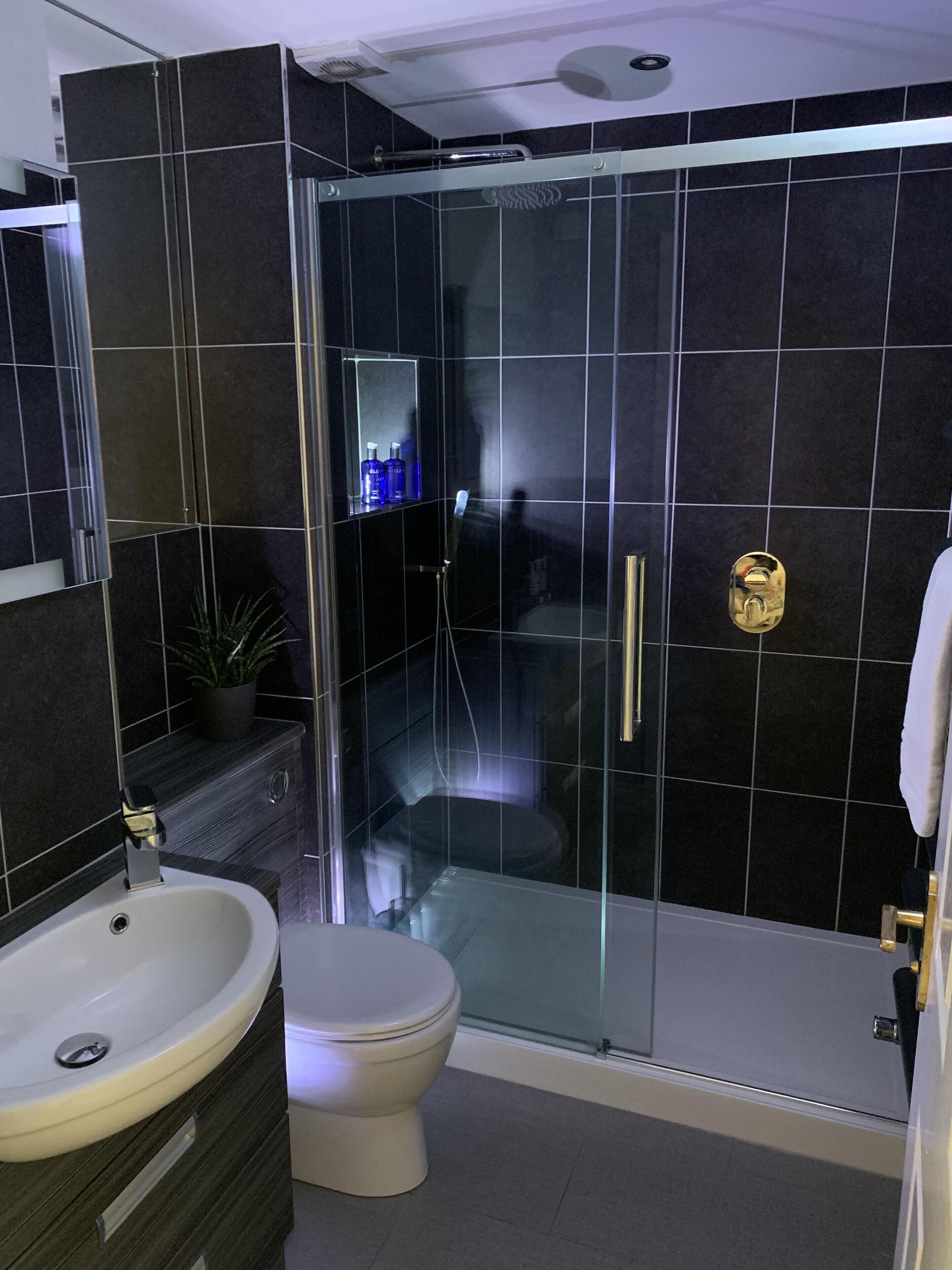 Shower, hair dryer, towels, soap
