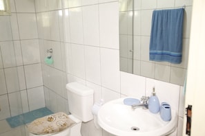 Apartamento, várias camas, para não fumantes | Banheiro | Chuveiro, produtos de toalete grátis, secador de cabelo