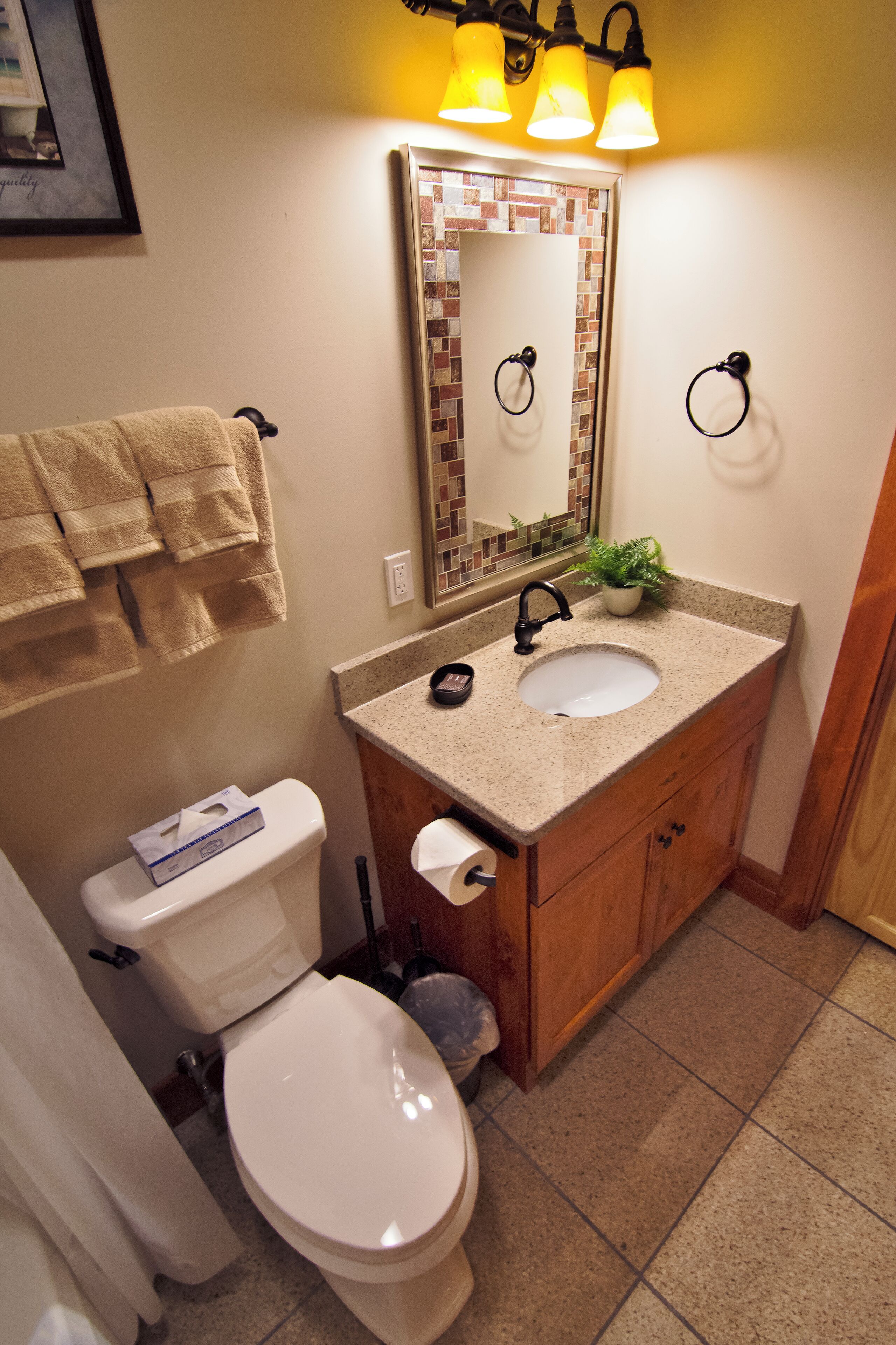 A bathroom with a toilet, sink, and mirror. There are towels hanging on the wall and a plant on the sink counter.