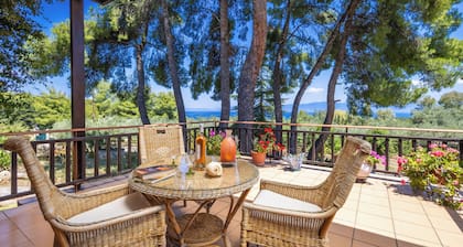 Beautiful Villa near the beach for family and groups- Mikrovivos Country House