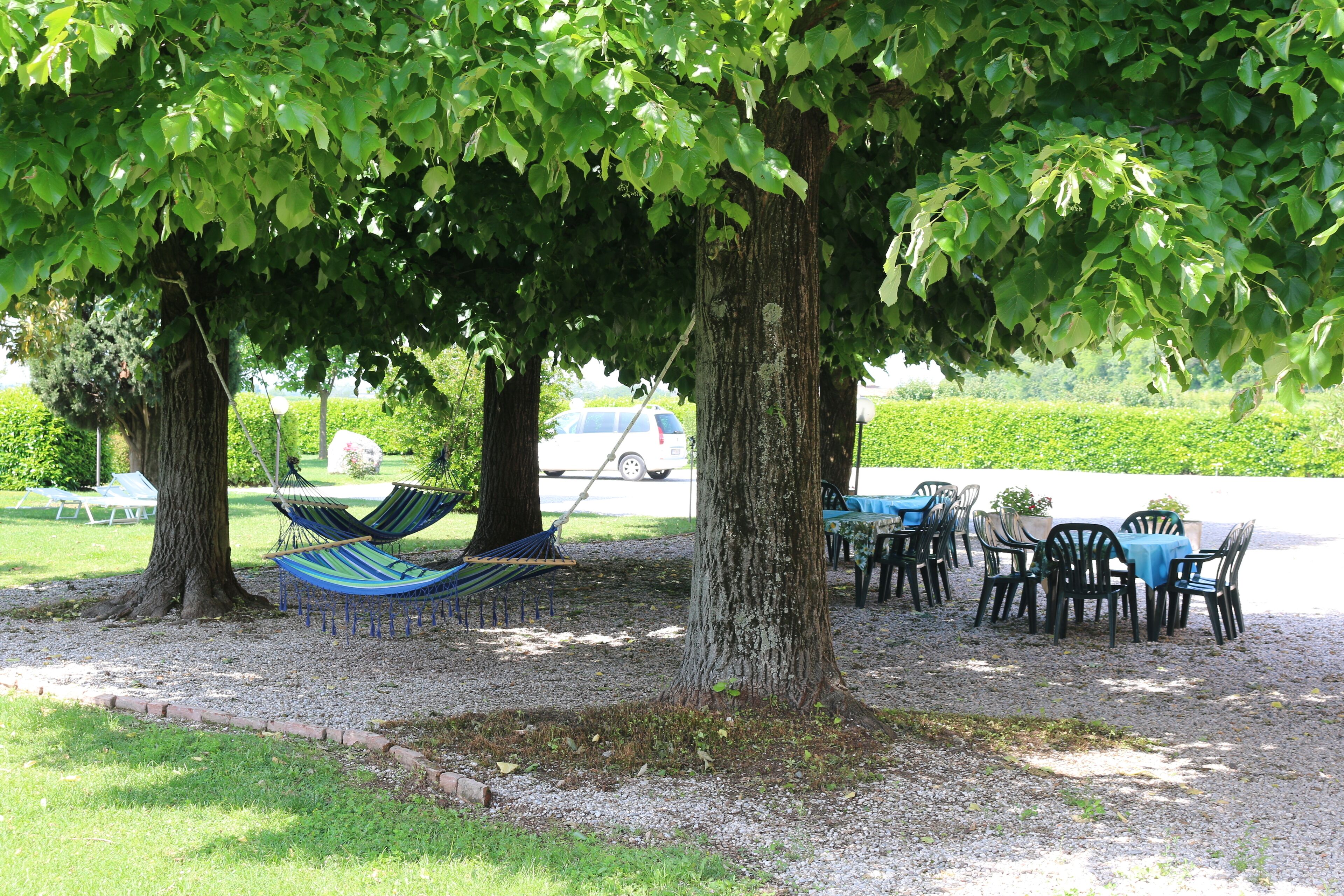 A shaded outdoor seating area with a hammock, tables, and chairs under trees.