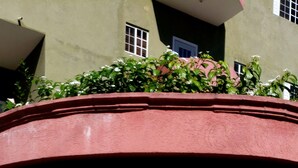 Front of property - The Oasis at Kensington (Kingston)