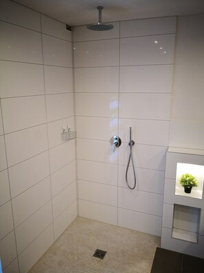 Dusche, Haartrockner, Handtücher, Seife