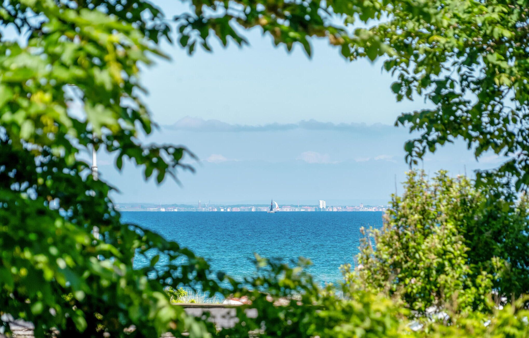 A coastal view with a sailboat on the water, a distant cityscape, and greenery in the foreground.