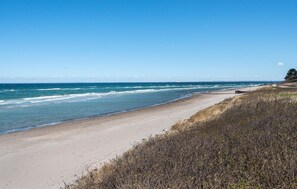 Nära stranden