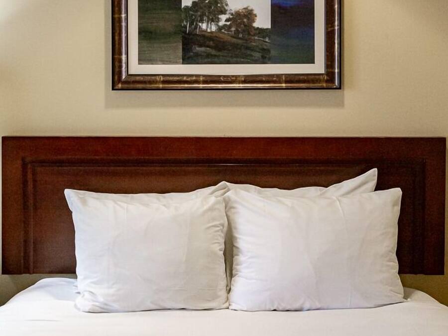Un letto rifatto con lenzuola bianche e due cuscini, una testiera in legno e un quadro con un paesaggio appeso alla parete.