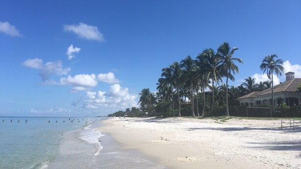 Une plage avec une eau d’un bleu limpide, du sable blanc et des palmiers.