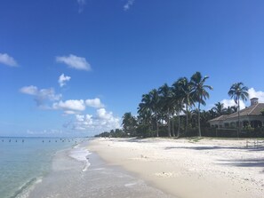 Une plage avec une eau d’un bleu limpide, du sable blanc et des palmiers.