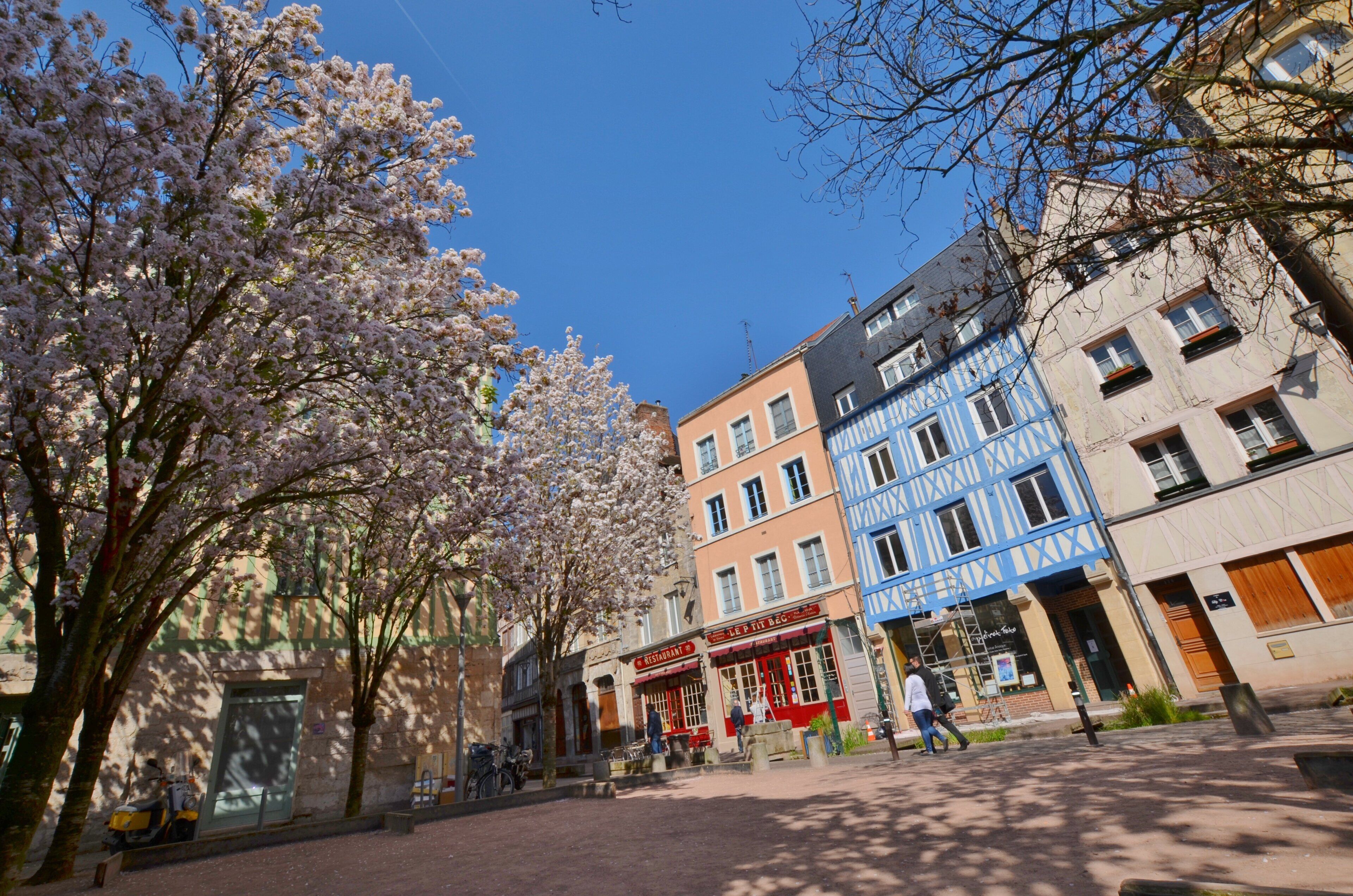 A street with cherry blossom trees, a restaurant, and a blue building with a sign.