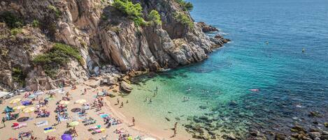 Vlak bij het strand, vissen