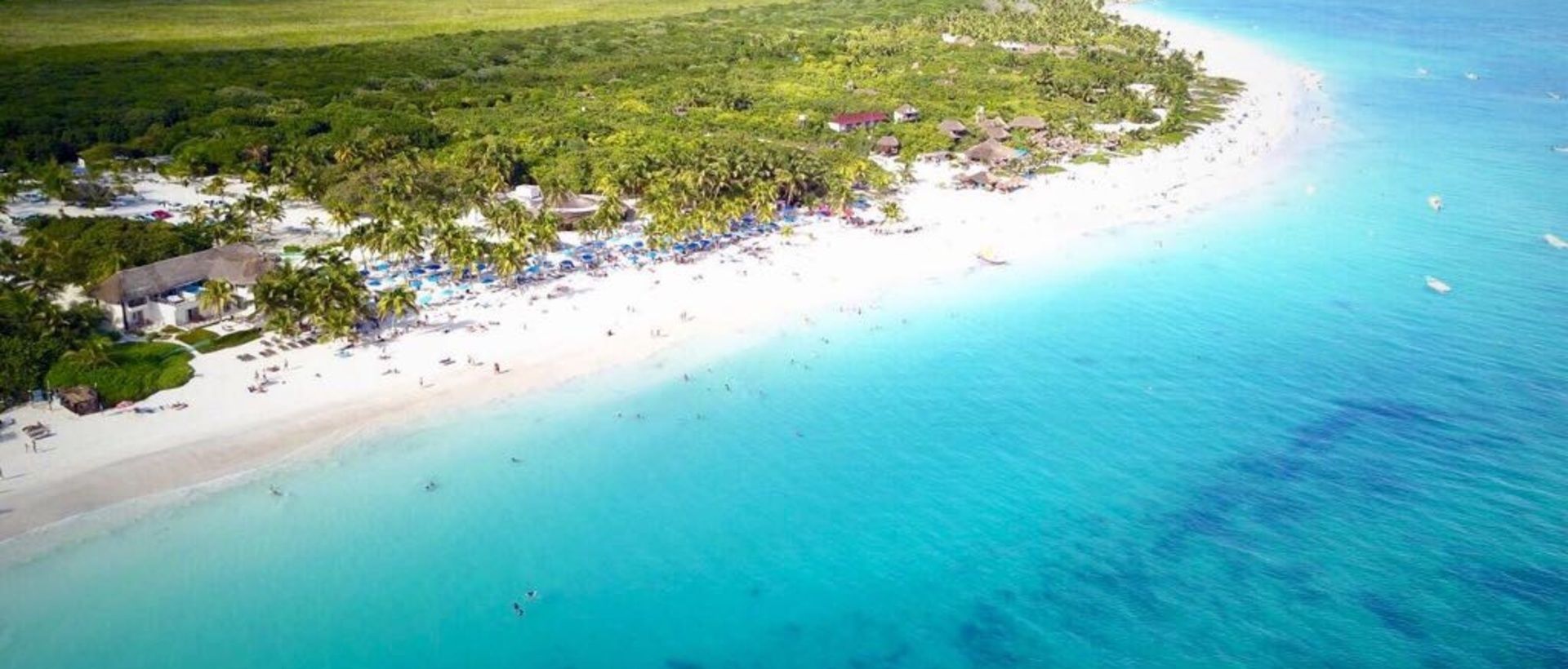 Vista aérea de una playa con arena blanca, aguas turquesas cristalinas y palmeras dispersas.