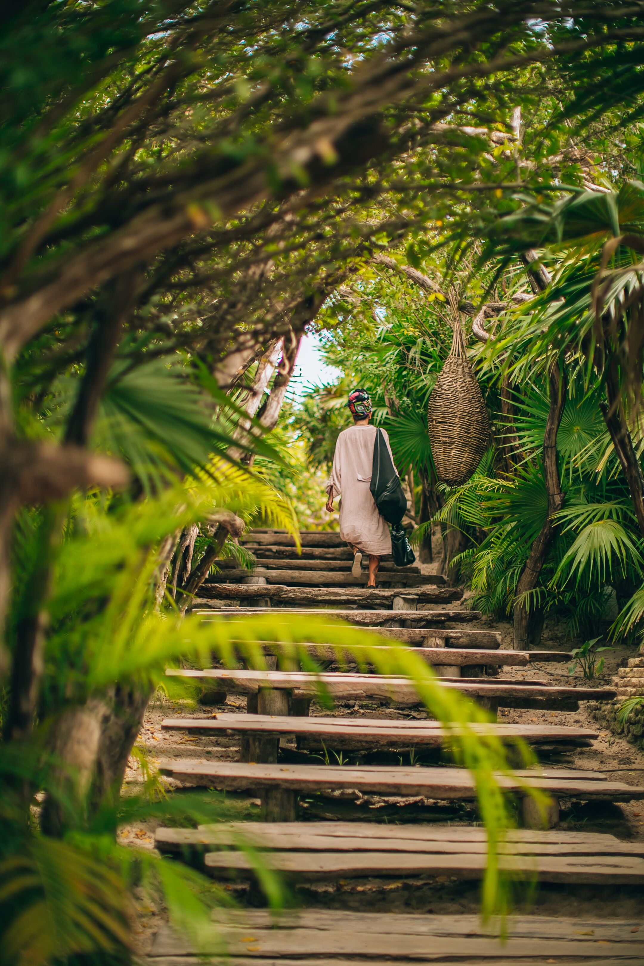 A person walking down a wooden staircase surrounded by lush greenery.