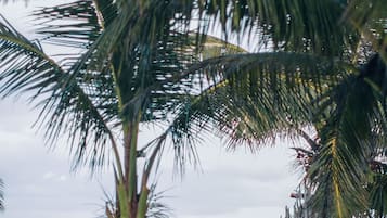 2 outdoor pools, pool loungers