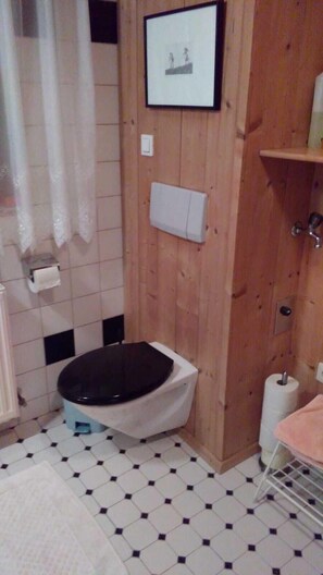 Shower, hair dryer, towels, toilet paper