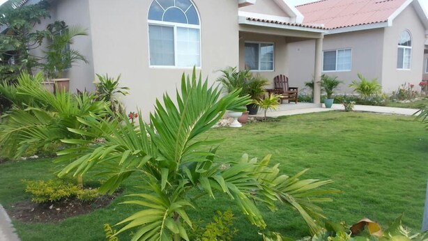 Una casa con un césped cuidado, un área de patio y diversas plantas.