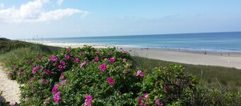 SYLT / Westerland, modern 2-ROOM APARTMENT + WiFi, close to the beach and the center, 2 BALCONIES
