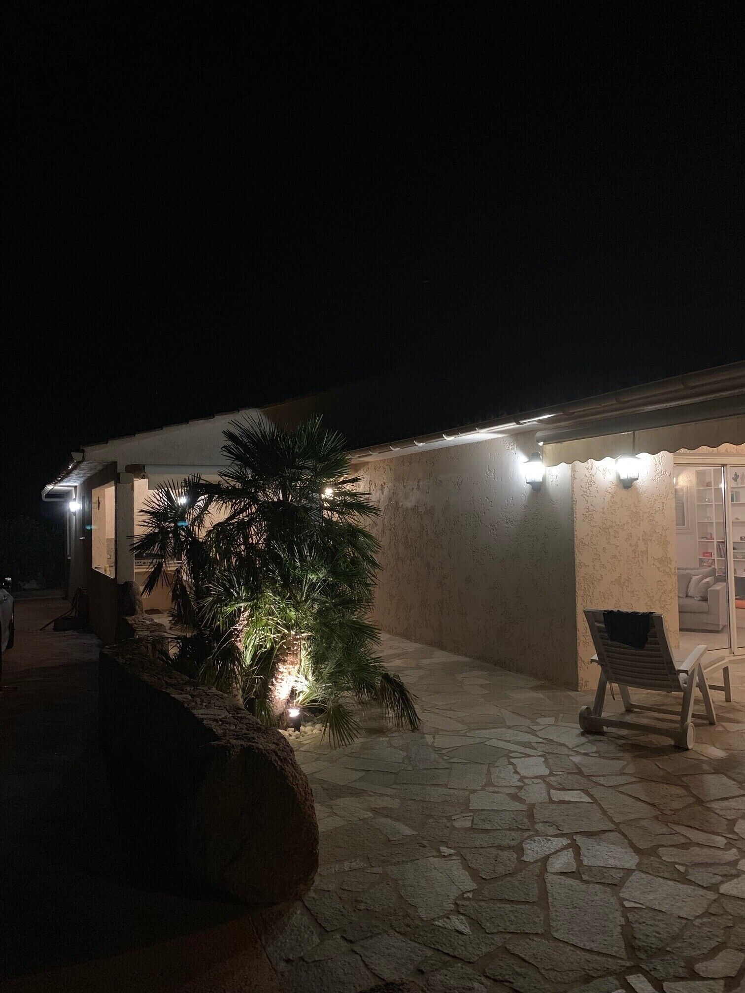 A stone-floored patio area with a palm tree and a lounge chair, illuminated by ambient lighting.