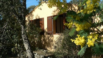 Detalhe da fachada