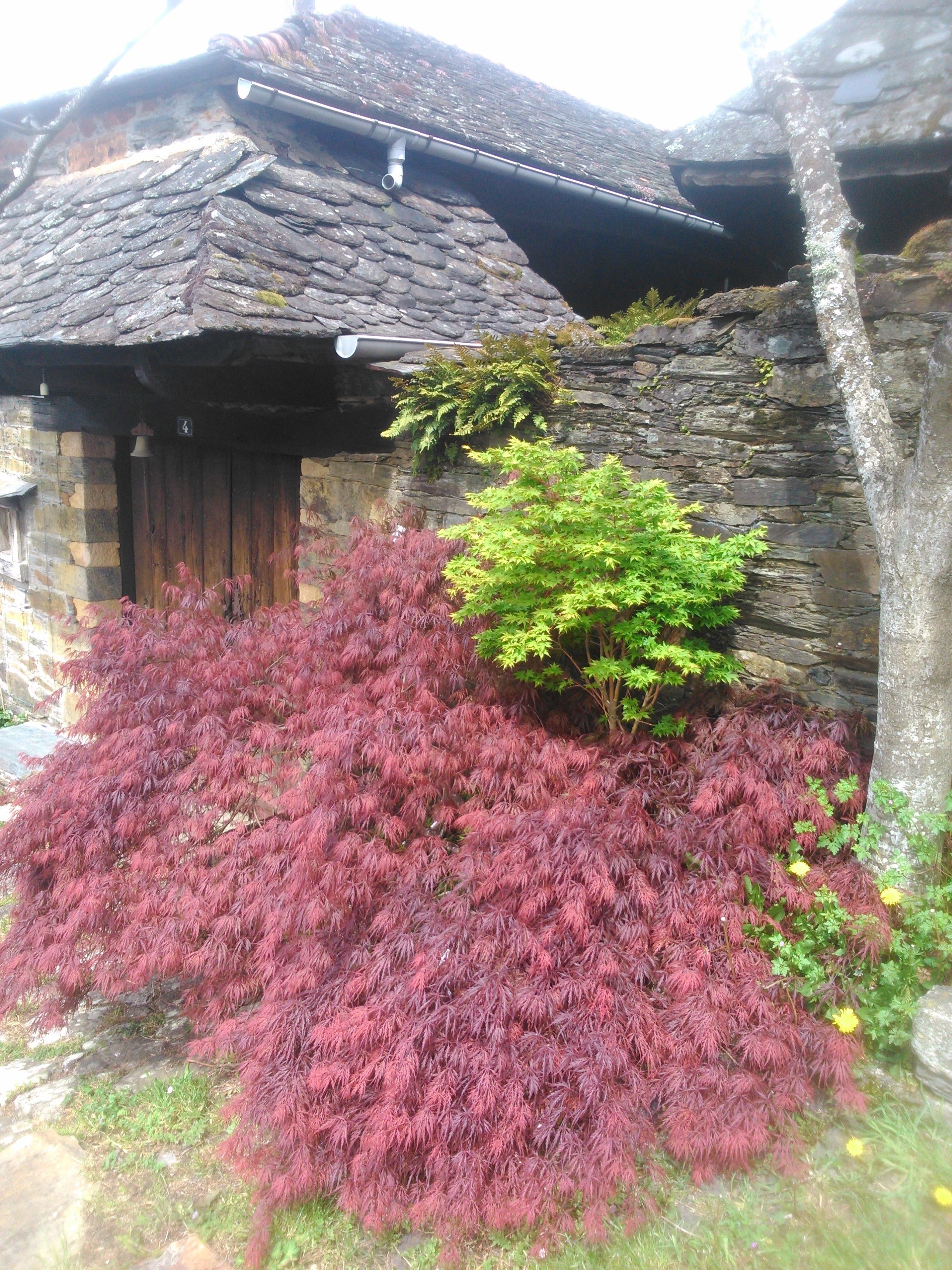 Foto - Casa O´Crego