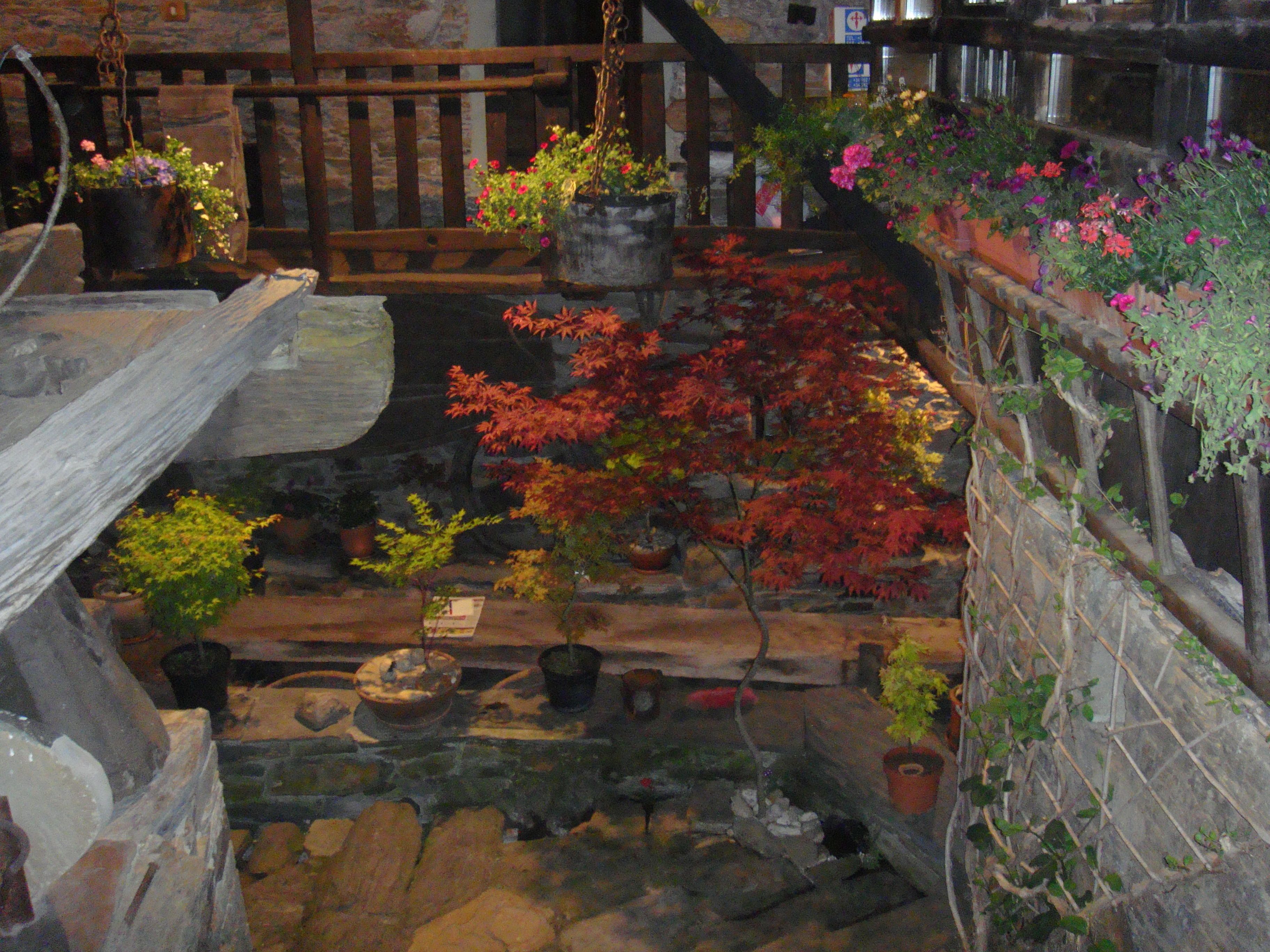 Foto - Casa O´Crego