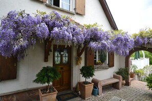 A house with purple wisteria hanging over the entrance, a wooden door, and a bench outside. - Charming House with Private Pool 4 ⭐️ (Rimbachzell)