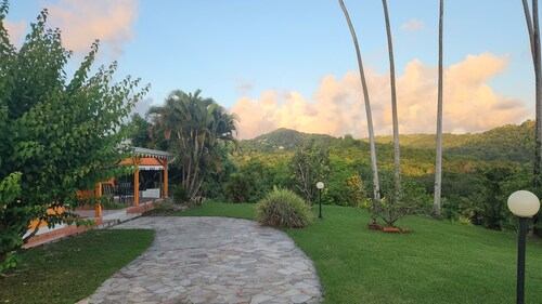 Petit paradis, havre de paix

...loin de tous bruits des villes...