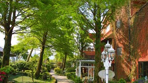 Un sendero de jardín con un farol blanco, rodeado de abundante vegetación y plantas con flores.