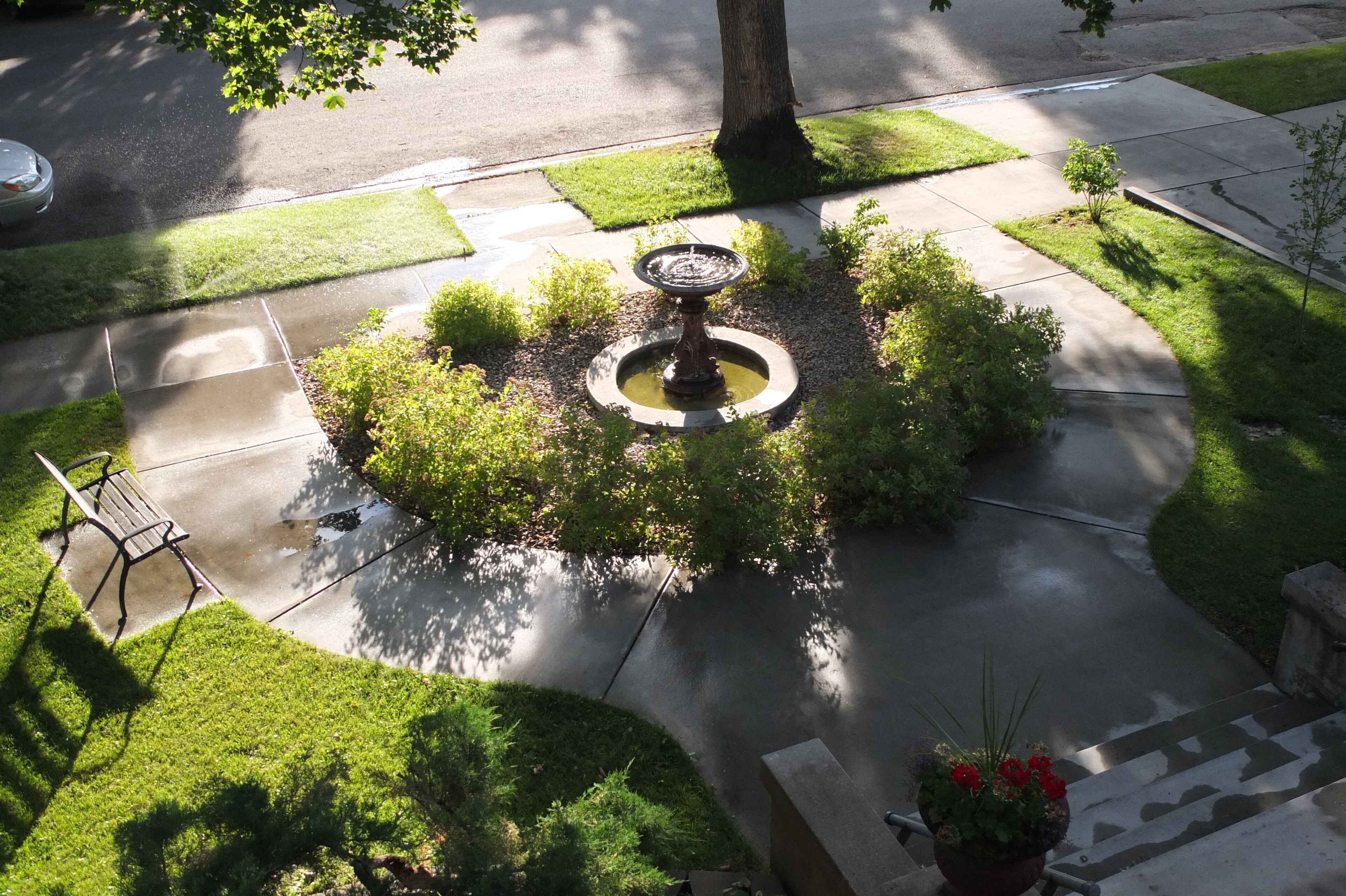 A quiet sunday after noon view of the front yard.