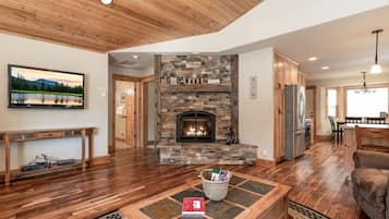 TV, fireplace, books