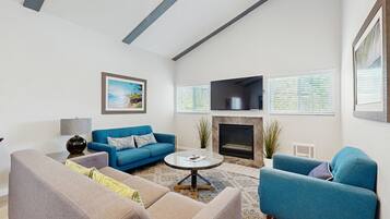 TV, fireplace, books