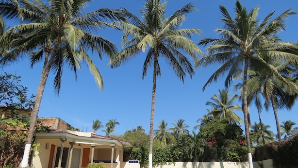 Area piscina con palme, una casa con veranda coperta e un muro in pietra.