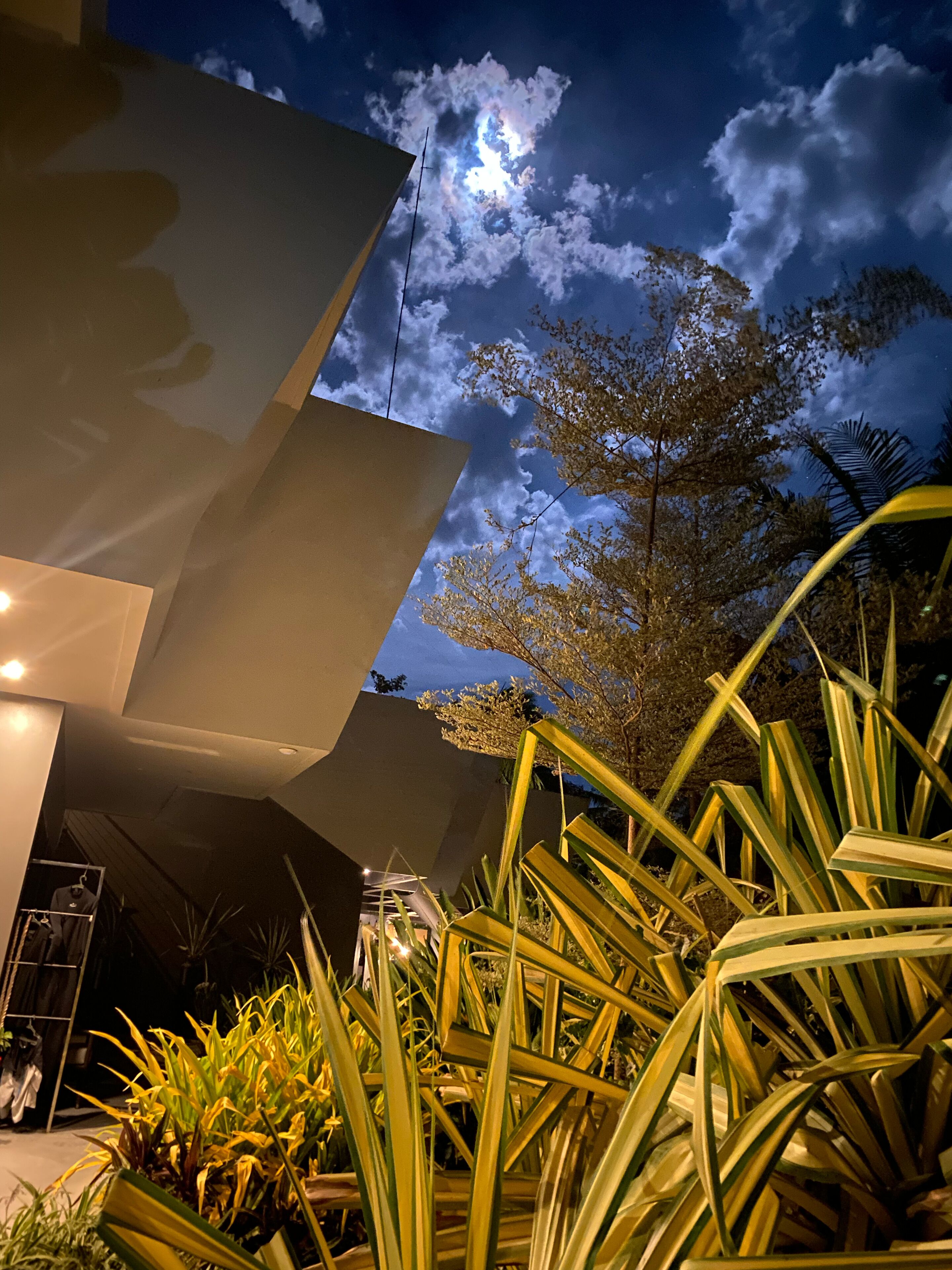 deluxe double or twin room, multiple beds, garden view | garden view