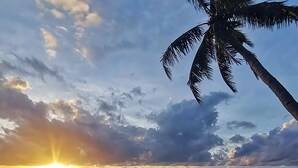 A beach scene with a sunset, palm trees, and a person in a flowing garment. - Mahi Mahi Dive Resort (Zamboanguita)