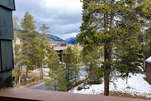 Property grounds - Spacious Luxury Townhome/Pool and Hot Tub Access/Recently Updated (Keystone)