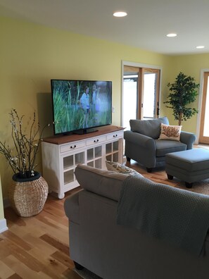 Smart TV, chimenea, reproductor de DVD y videoteca