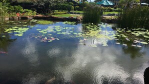 施設の敷地