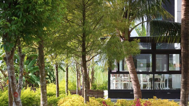 Un bâtiment moderne doté de grandes fenêtres en verre, entouré d’une végétation luxuriante et de diverses espèces de plantes.