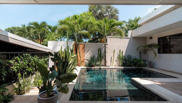 Un área de piscina exterior moderna con fondo de vidrio, rodeada de plantas diversas y un cielo despejado.