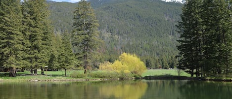 Lago