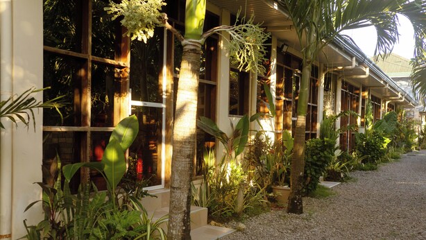 A building with large windows, surrounded by various plants and a gravel pathway. - Don Remegio Villas (General Luna)