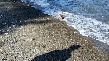 Sulla spiaggia