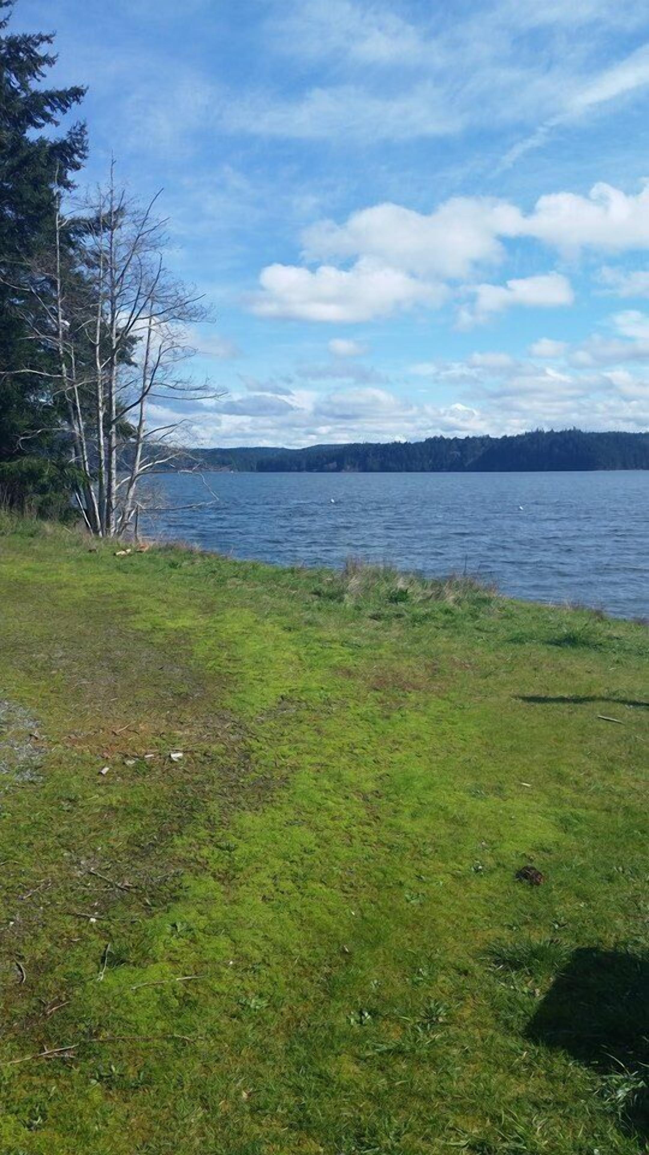 A grassy area with a lake and trees in the background.