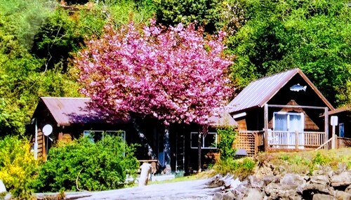 Hauben-Kanal 2 B / R Ufergegendkabine.  Schlaf 6.