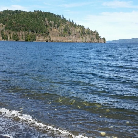 On the beach. Hood Canal 2 B/R Waterfront Cabin. Sleeps 4.