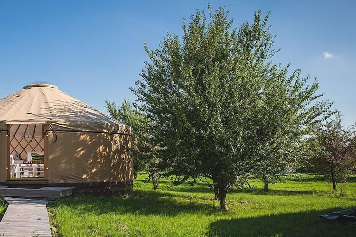 Family Tent | Free WiFi
