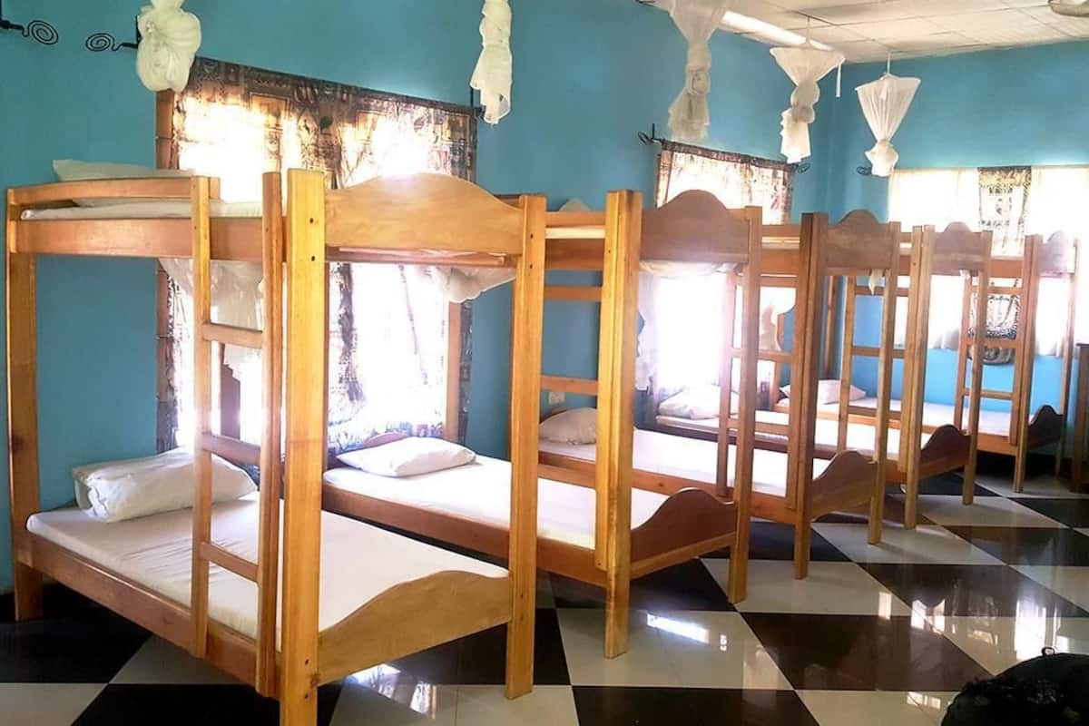 經濟共用宿舍, 共用浴室 (20 Beds) | 書桌、遮光布/窗簾、熨斗/熨衣板、免費無線上網