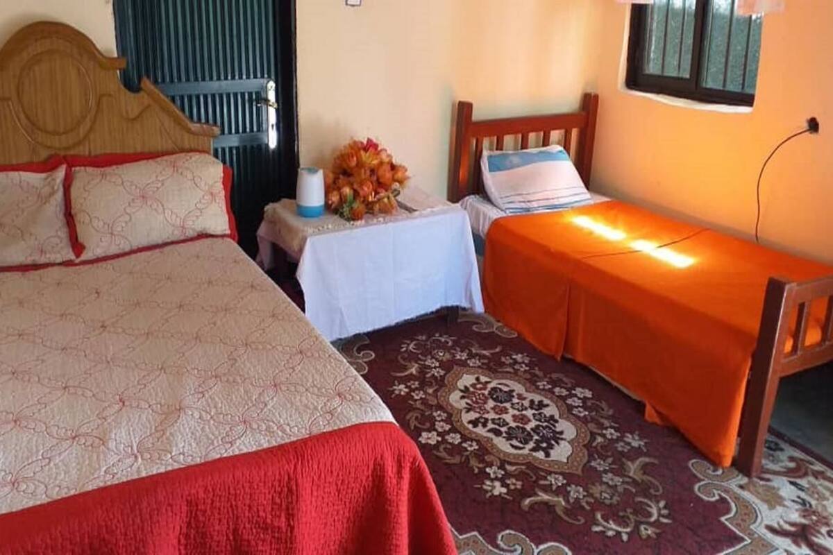 A bedroom with a large bed, a smaller bed, a nightstand with a vase of flowers, and a window with a view of the outside.
