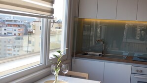 Penthouse Apartment 3 | 専用キッチン
