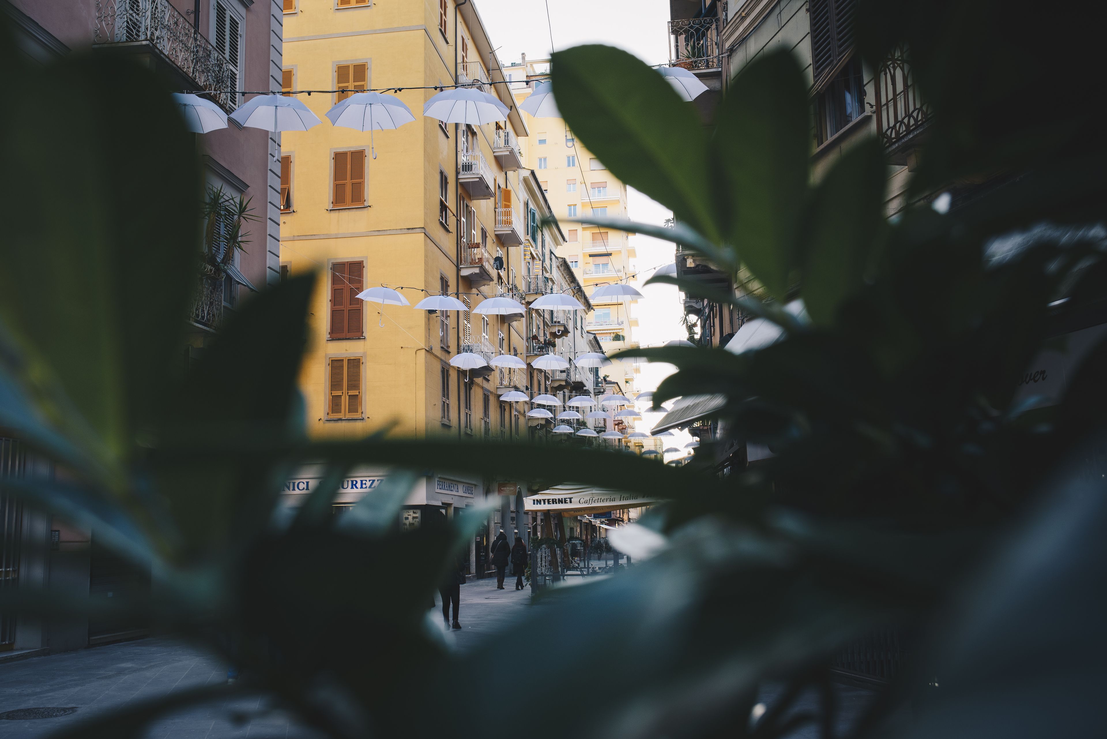 Foto - Affittacamere Superior del Golfo e delle 5 Terre