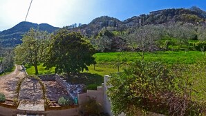 Un paisaje rural con un camino de tierra, muros de piedra y campos verdes.